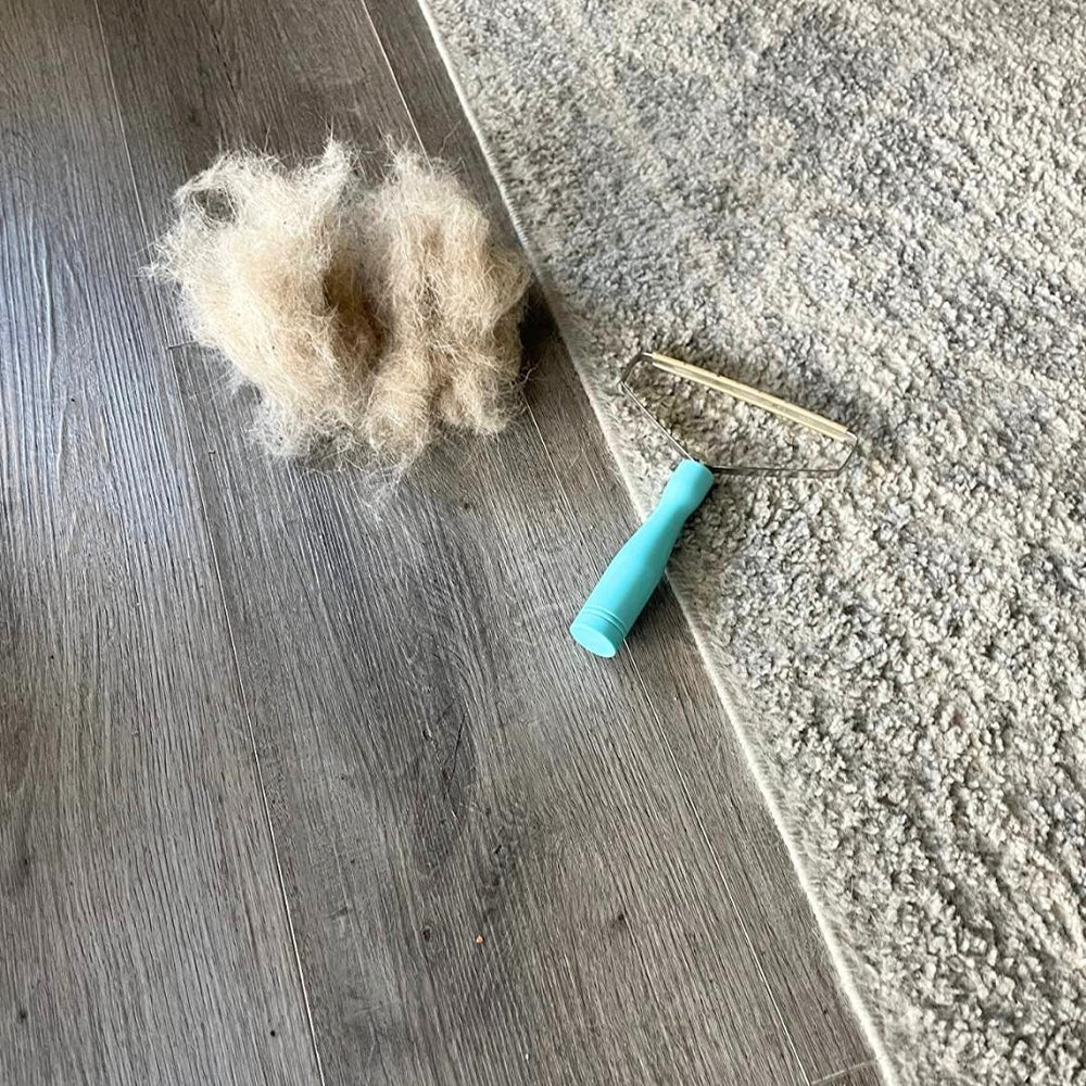 NoHair Cleaner™️ - Anti hair and lint brush